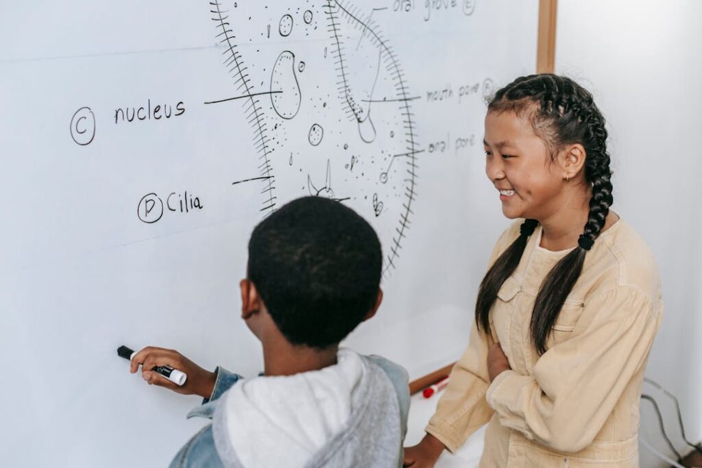 Un élève et son enseignante font un exercice de biologie sur un tableau blanc.