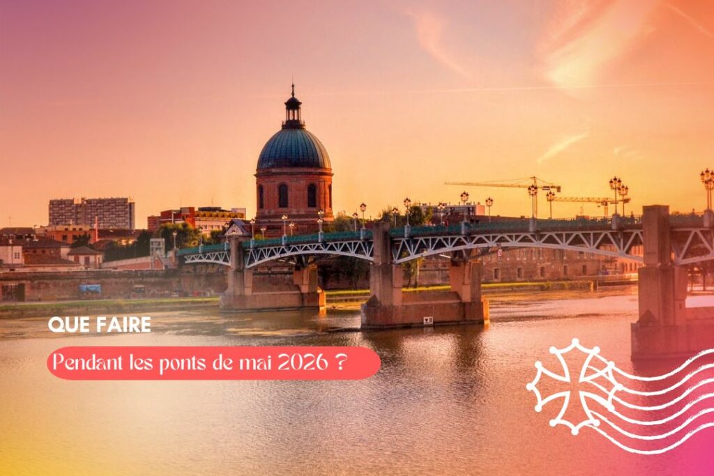 Vue de la ville de Toulouse avec le pont Saint-Pierre et l'hospice de la Grave.